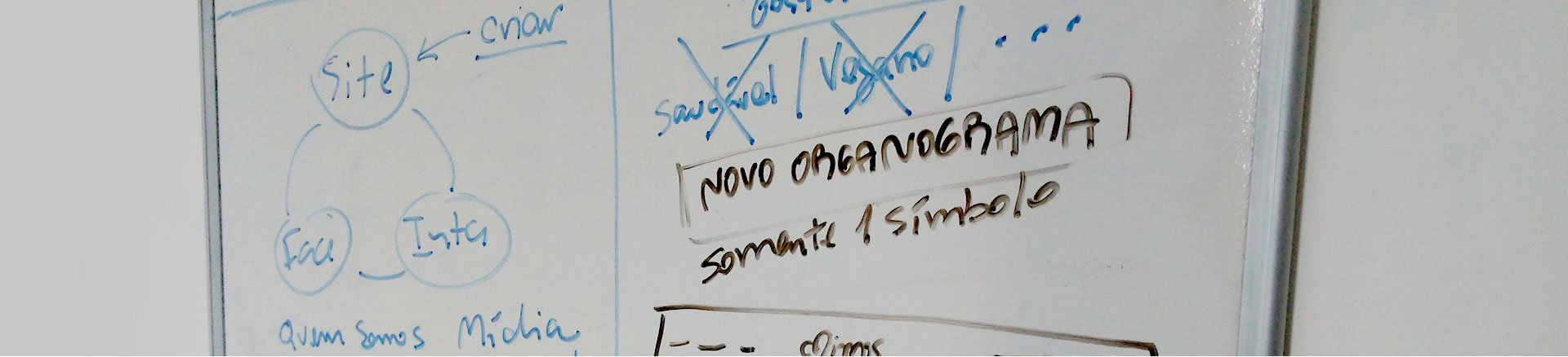 Caça de escorpião em São José e Vale do Paraíba